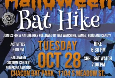 571194382 1255915653242648 5375184012572582191 n