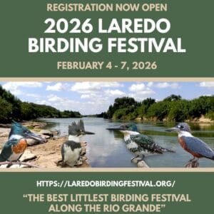 Laredo Birding Festival Flyer