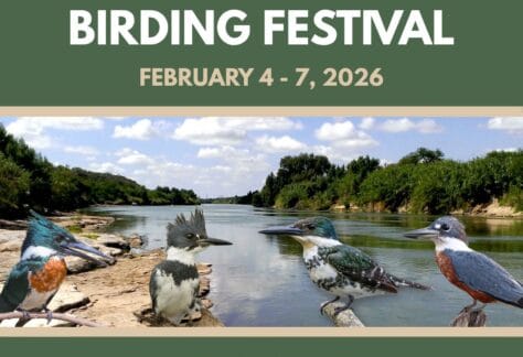 Laredo Birding Festival Flyer