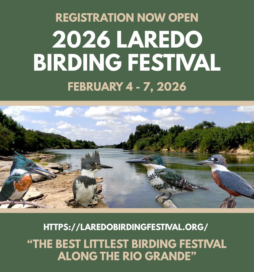Laredo Birding Festival Flyer