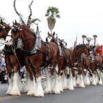 ab parade844x563 844x478 1